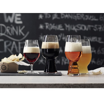 Craft Beer Tasting Kit Set/4 2